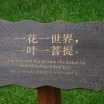 菩提本无树的头像-侠隐阁源码